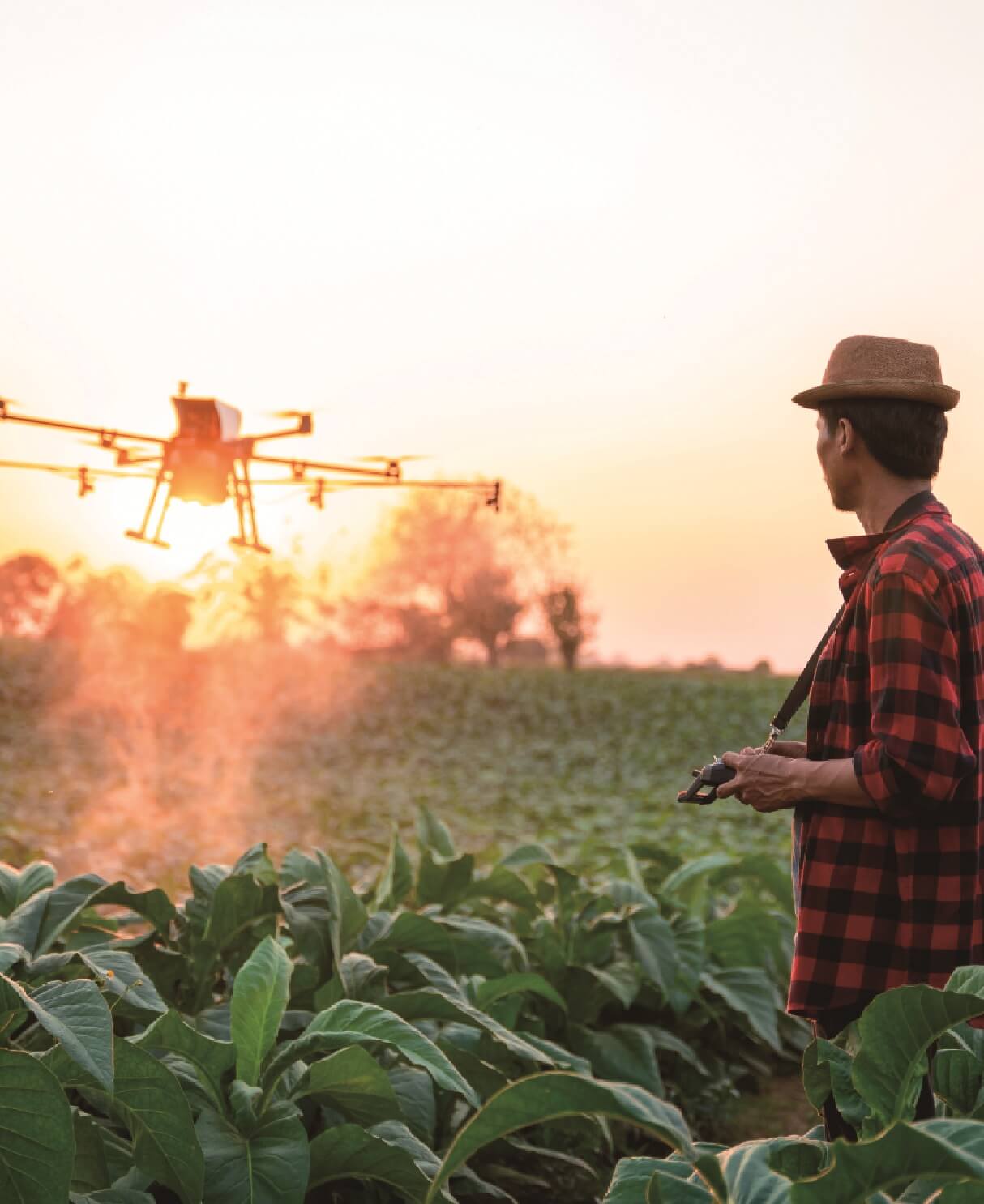 農業の現状と、
　　　これからの未来
