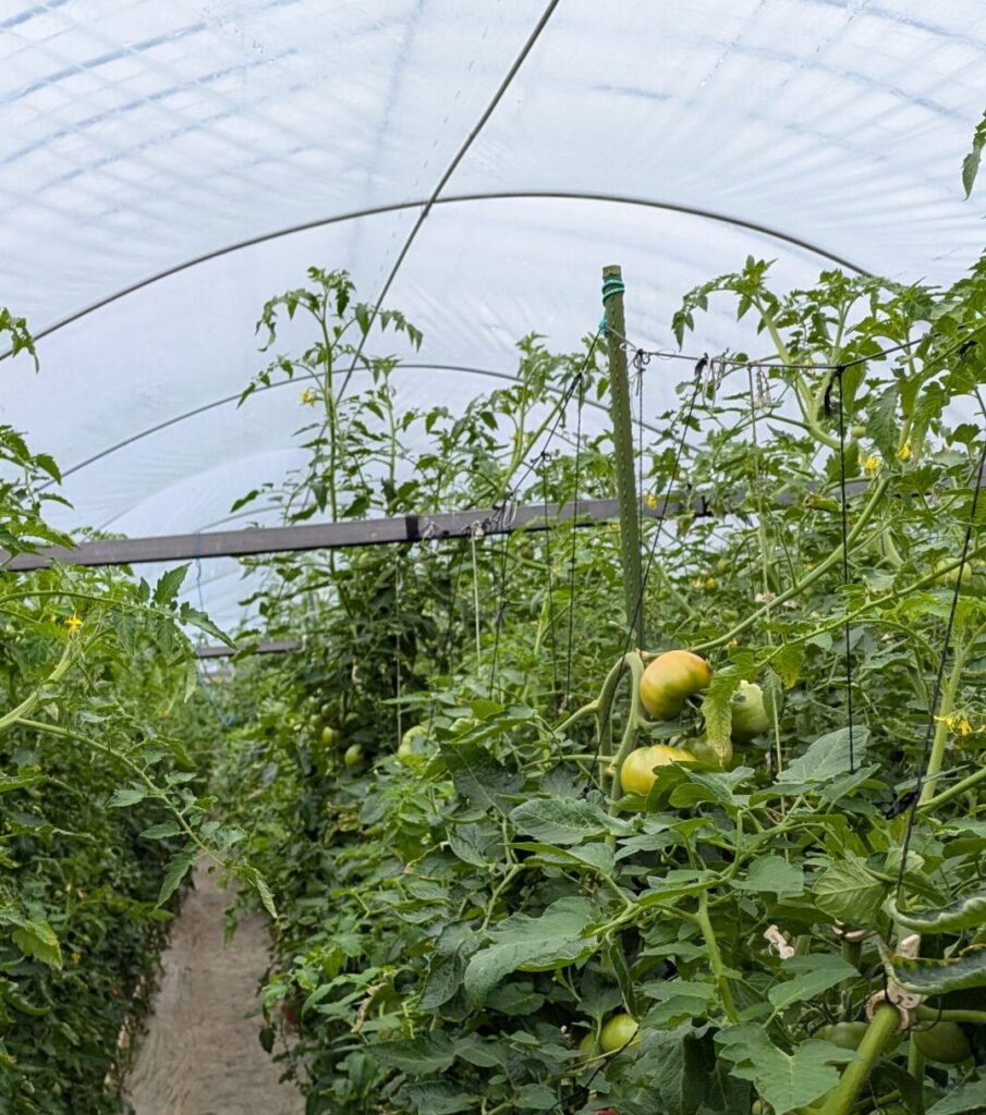 【認定組織】R7現地視察研修会　in臼杵